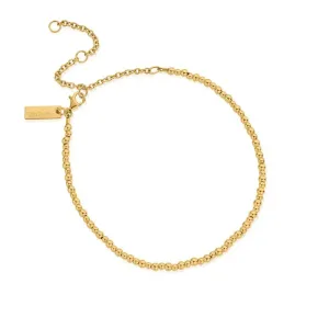 ChloBo Sterling Silver Gold Plated Mini Cute Anklet